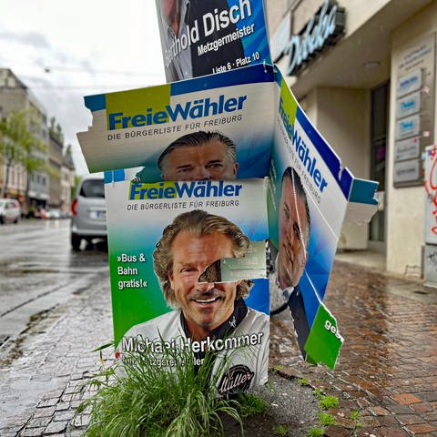 zerstörte Wahlplakate in Freiburg