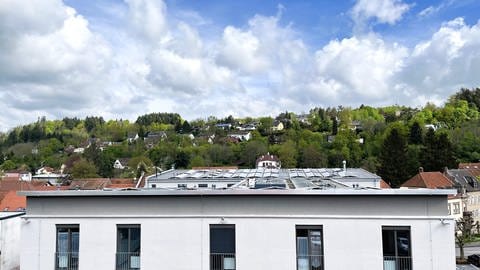 Die Gesellschaft für erneuerbare Energien Kusel hat auf dem Dach einer Wohnstätte der Kuseler Lebenslhilfe eine Photovoltaikanlage installiert.