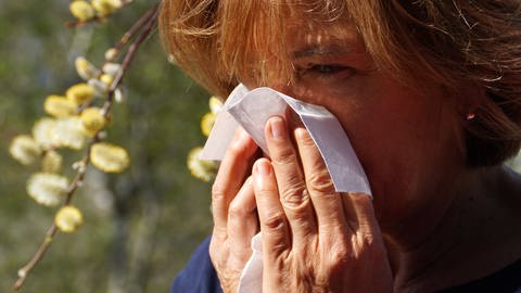Auch bei Heuschnupfen können Gewitter starke Allergie-Symptome auslösen und zu Gewitter-Asthma führen. Das Risiko stiegt durch den Klimawandel. Eine Hypersensibilisierung kann Betroffenen helfen. Symbolbild: Frau putzt sich die Nase, mit Pollen im Hintergrund.