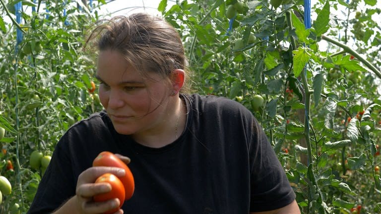 Junge Frau im Gewächshaus mit Tomaten