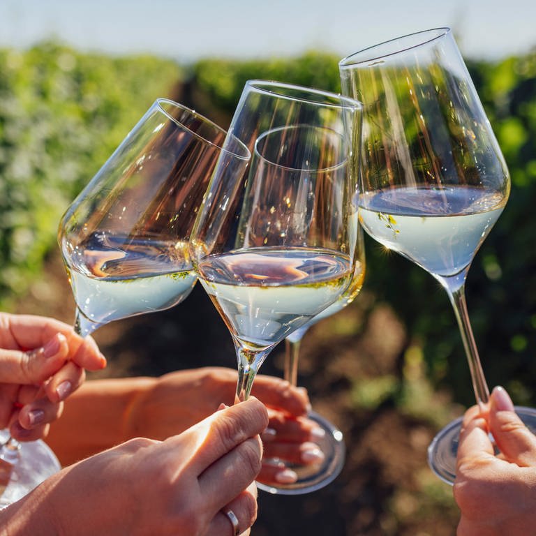 Vier Frauen stoßen mit Weißwein an | Tipps für Ausflüge & Veranstaltungen an Pfingsten