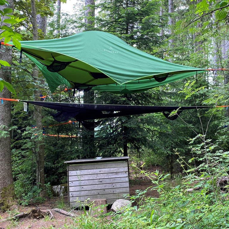 Im Schwarzwaldcamp am Schluchsee kann man in einem Baumzelt in drei Metern Höhe übernachten