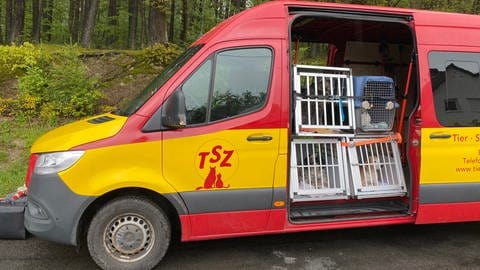 Blick auf den rot-gelben Transporter, mit dem Hunde von einem Gnadenhof für Hunde in der Eifel abtransportiert wurden. Die Behörden hatten eine Verringerung der Zahl der gehaltenen Tiere durchgesetzt.