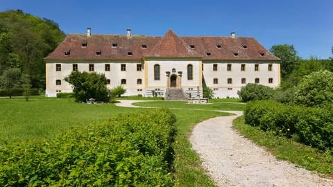 Wandern auf der Schwäbischen Alb: Das Schloss Ehrenfels bei Hayingen bei Sonnenschein, blauem Himmel und dem grünen Schlosspark im Vordergrund.