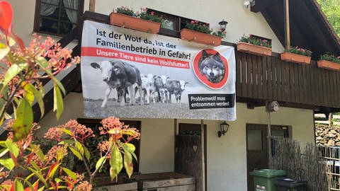 Familienbetriebe wie der Sonner-Hof in Sankt Ulrich erhoffen vom neuen Konzept zum Schutz ihrer Rinder, die sie in Herden halten, vor dem Wolf, auch den Schutz ihrer Existenz