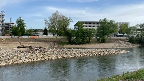 Im Vordergrund fließt der Neckar, in der Mitte ist eine Insel zu erkennen. Im Hintergrund ist eine kleine Mauer am Ufer  - sie ist Teil des Hochwasserschutzes. An diese wurde schon Graffiti gesprüht.