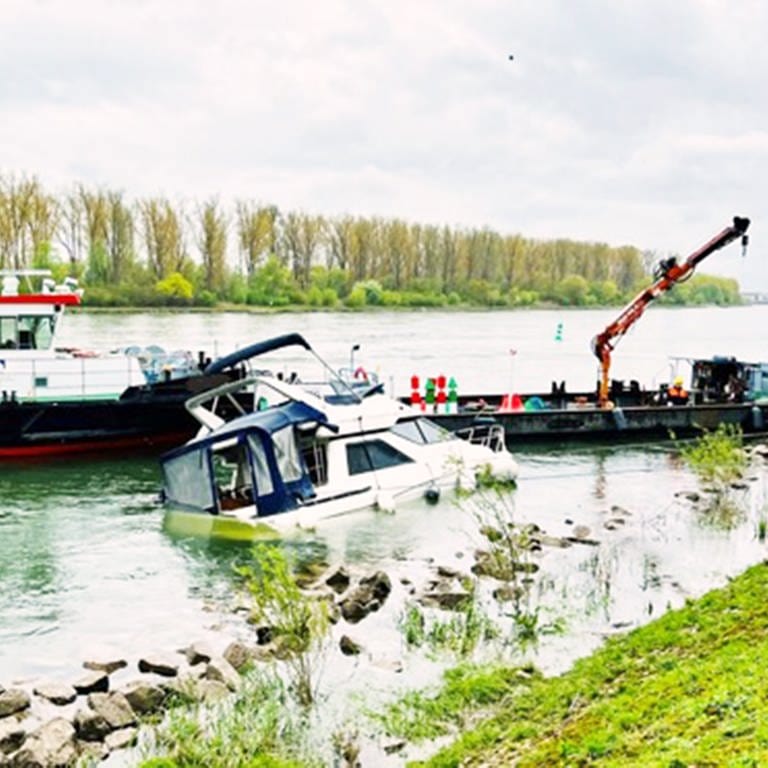 Sportboot in Speyer gesunken