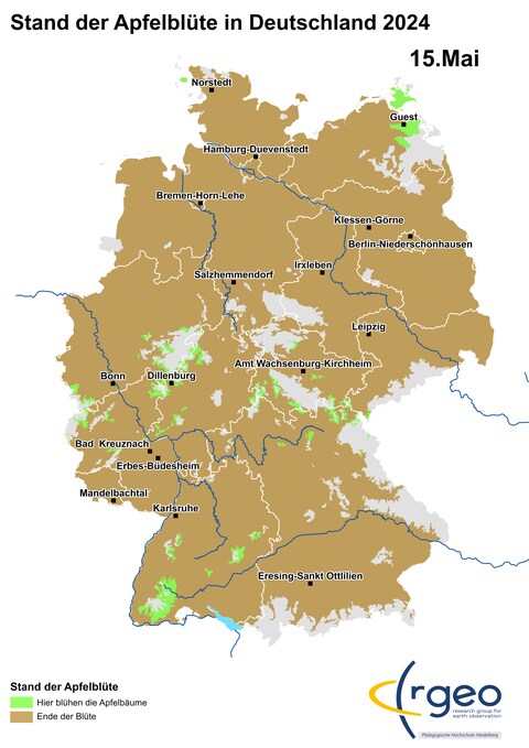 Ausbreitung der Apfelblüte in Deutschland am 15. Mai 2024