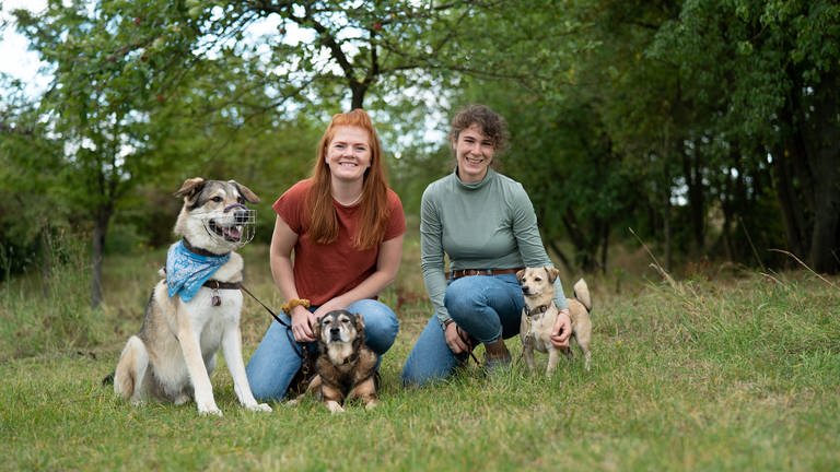 Zwei junge Frauen zusammen mit drei Hunden auf einer Wiese.