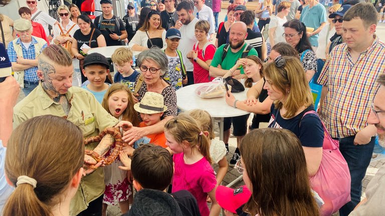Eine Schlange aus dem Reptilium Landau begeistert die SWR-Besucher