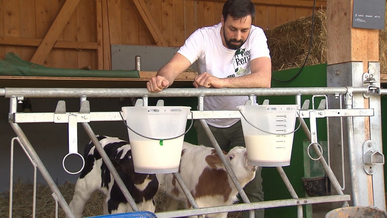 Buerokratie bei Milchvieh-Landwirt in Wangen im Allgäu 