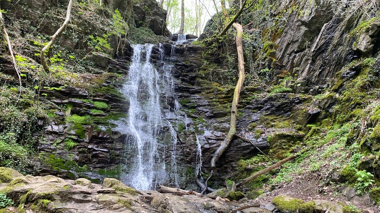 Ein Wasserfall stürzt in die Tiefe. Die HeimatSpur Wasserfall-Erlebnisroute bei Bad Bertrich ist nominiert Deutschlands schönster Wanderweg zu werden. 