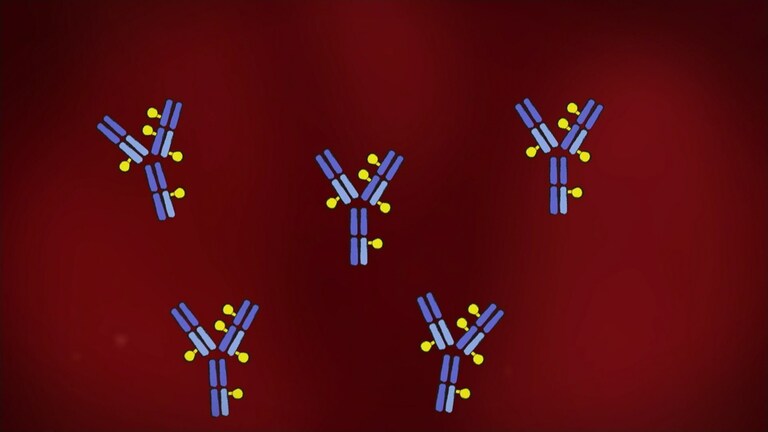 Fiktive Darstellung von Antikörpern auf rotem Hintergrund