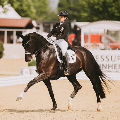 Isabell Werth beim Maimarkt-Turnier in Mannheim mit ihrem Pferd Wendy de Fontaine im Grand Prix Special