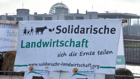 "Solidarische Landwirtschaft"  in Berlin bei der Demonstration für eine Agrarwende