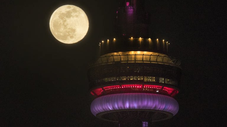 Die Kuppel des CN Towers in Toronto im Mondschein beleuchtet