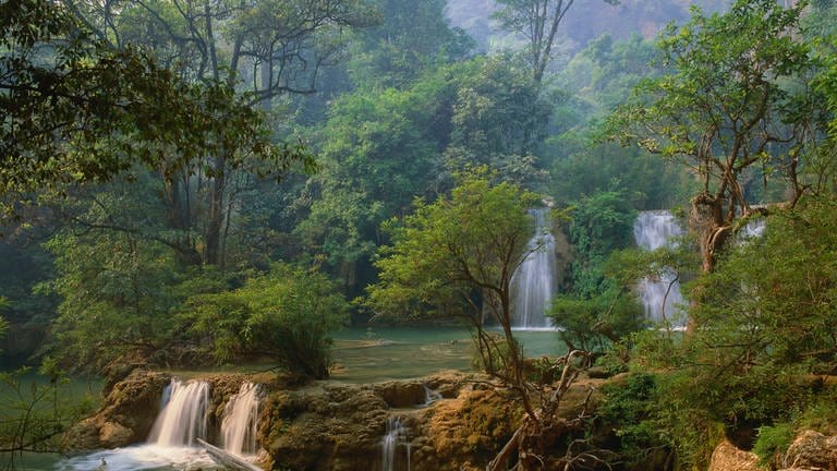 Wasserfälle herabstürzend über Felsen Stufen umgeben von Regenwald 