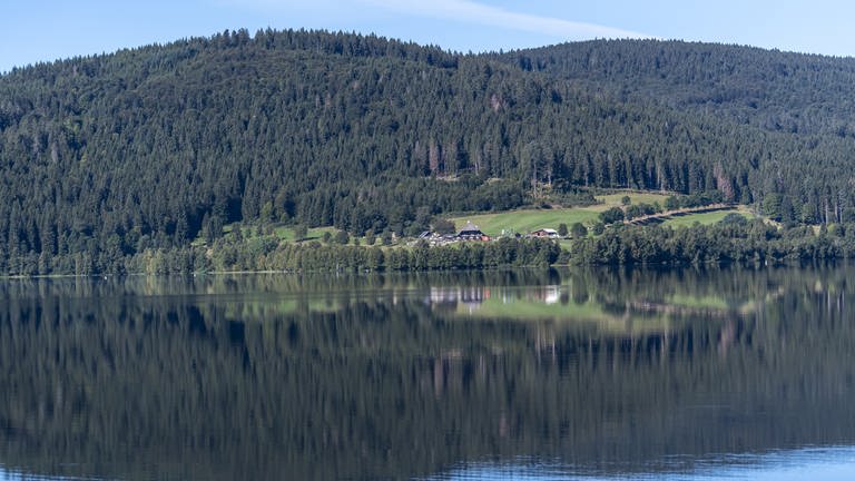 Der Schluchsee im Schwarzwald ist ein gutes Ziel für einen Ausflug in Baden-Württemberg. Das Wasser des Sees liegt still da, im Hintergrund sind bewaldete Hügel zu sehen.