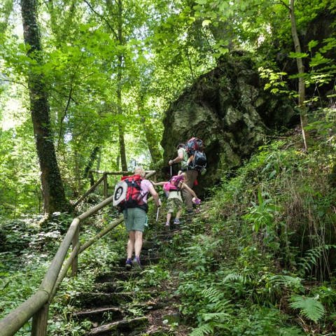 Die Sieben Täler Runde bei Rottenburg gehört zu den schönsten Wanderwegen in Baden-Württemberg. Der Weg führt im Wald steile Stufen hinauf zu Felsen.