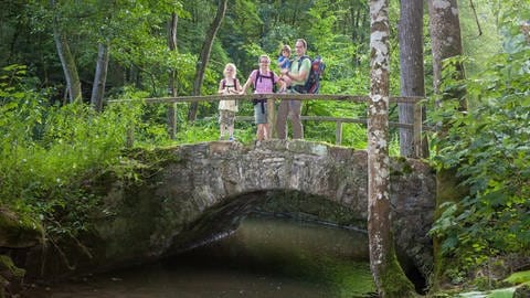 Wanderer auf dem Wanderweg Sieben Täler Runde bei Rottenburg stehen auf einer Brücke im Wald, darunter fließt ein Bach.