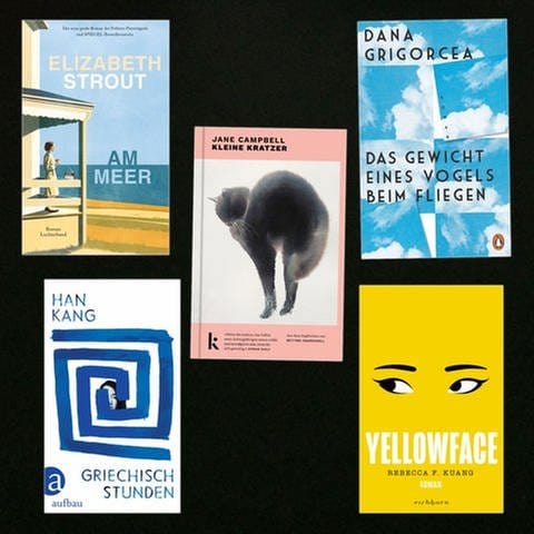 Lesenswert Bücher vom 25.02.2024 (Foto: Pressestelle, Aufbau Verlag, Penguin Verlag, Luchterhand Verlag, Eichborn Verlag, Kjona Verlag)
