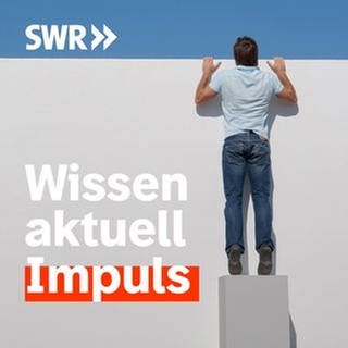 Podcastbild SWR2 Impuls (Foto: Unsplash)