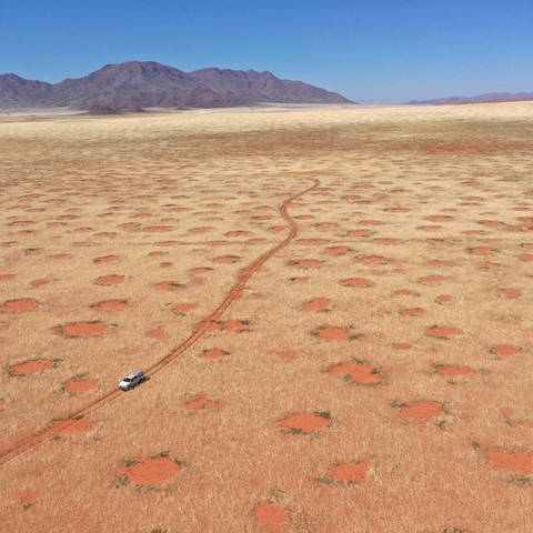 Drohnenaufnahme eines Autos im NamibRand-Naturreservat, eine der Feenkreisregionen in Namibia. (Foto: idw / Stephan Getzin)