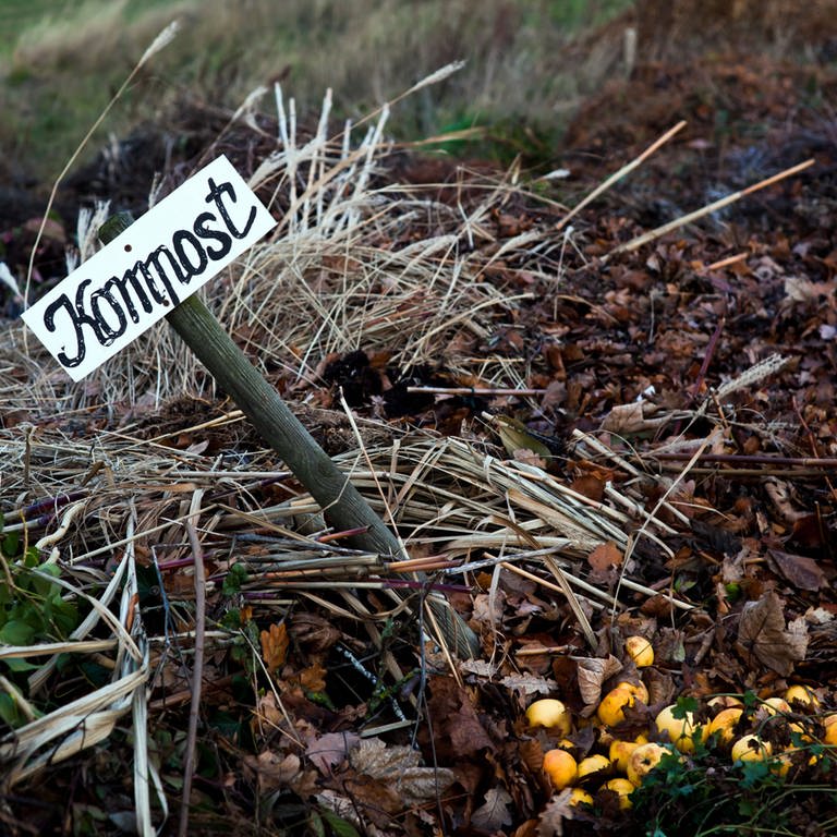Ein angelegter Komposthaufen in einem Garten in dem ein Pfahl mit der Beschriftung "Kompost" zu sehen ist. Es ist gut zu wissen, welche Pflanzen man auf den Kompost werfen darf und welche nicht.