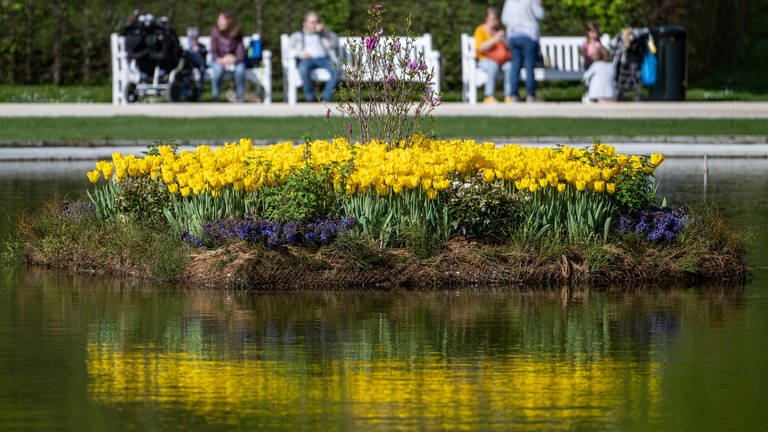 Gelbe und lila Blumen sind auf einem kleinen Teich arrangiert. Dahinter sitzen Menschen auf Bänken. (Foto: dpa Bildfunk, picture alliance/dpa | Marijan Murat)