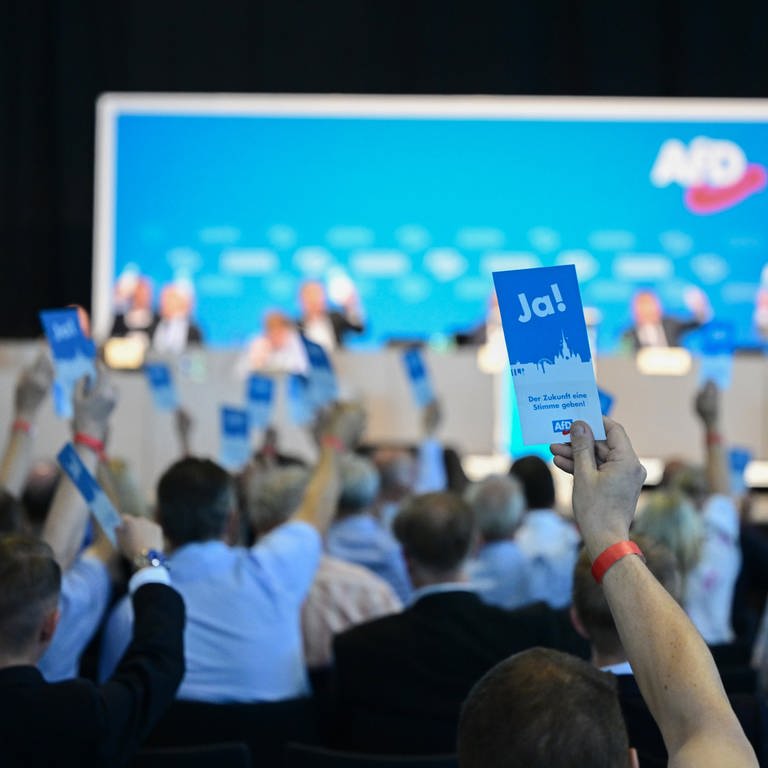 Mitglieder der Partei Alternative für Deutschland (AfD) stimmen in einer Messehalle mit Stimmkarten beim Landesparteitag der AfD Baden-Württemberg über einen Tagesordnungspunkt ab.