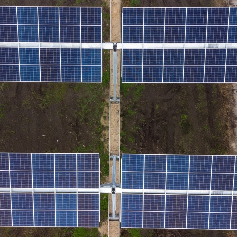Solarmodule einer Agrar-Photovoltaik-Anlage (Aufnahme mit einer Drohne)