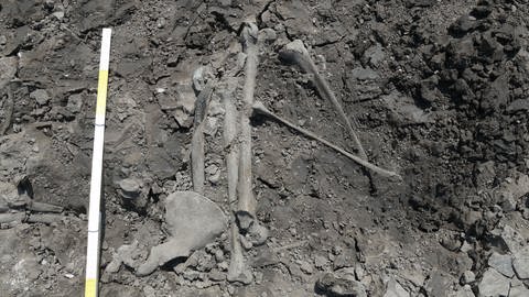 Bauarbeiter stießen auf drei Skelette