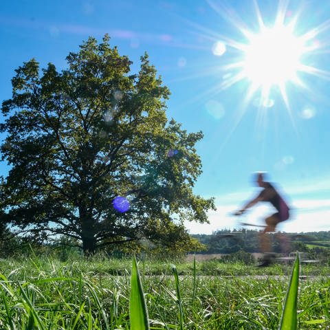 Bei strahlendem Sonnenschein und blauem Himmel fährt ein Radfahrer durch einen Park bei Stuttgart  (Foto: dpa Bildfunk, picture alliance/dpa | Bernd Weißbrod)