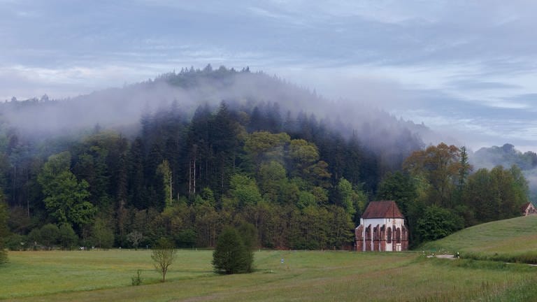 Nebelschwaden liegen über den Bäumen auf dem Allmendsberg. (Foto: dpa Bildfunk, picture alliance/dpa | Philipp von Ditfurth)