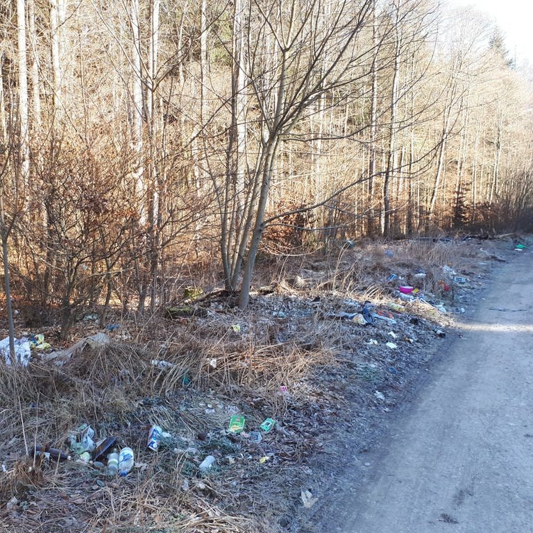 Illegal entsorgter Müll am Waldrand