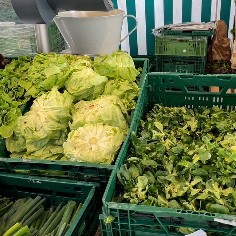 Salat und Gemüse auf dem Heilbronner Wochenmarkt