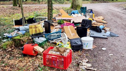 Stadt Calw klagt über immer mehr wilden Müll
