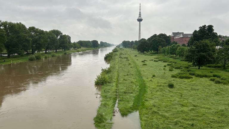 Hochwasser am Neckar in Mannheim