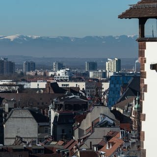 Freiburger Schwabentor und Überblick über Freiburg
