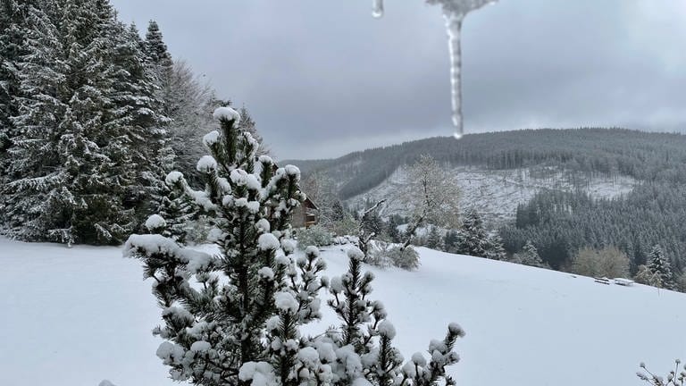 Winterlandschaft am Feldberg. (Foto: SWR)
