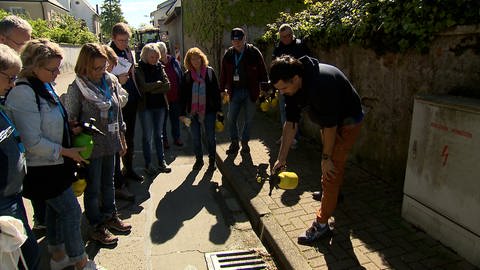 Freiwillige in Neuenburg kämpfen gegen die Asiatische Tigermücke