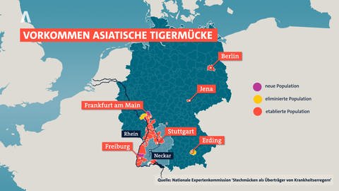 Verbreitung der Asiatischen Tigermücke in Deutschland
