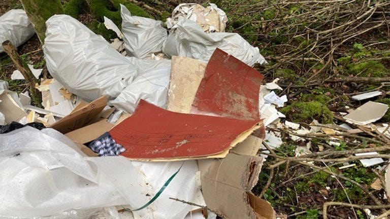 Mehr als eine Tonne Müll wurde am Lochenpass (Zollernalbkreis) einfach in den Wald gekippt (Foto: Kurt Single)