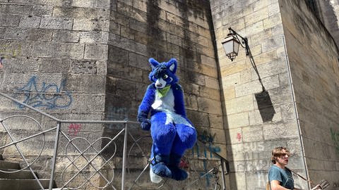 Furry "Braket" ist als blauer Hund im Tierkostüm in der Altstadt von Tübingen unterwegs gewesen und auf das Treppengeländer bei der Stiftskirche geklettert.