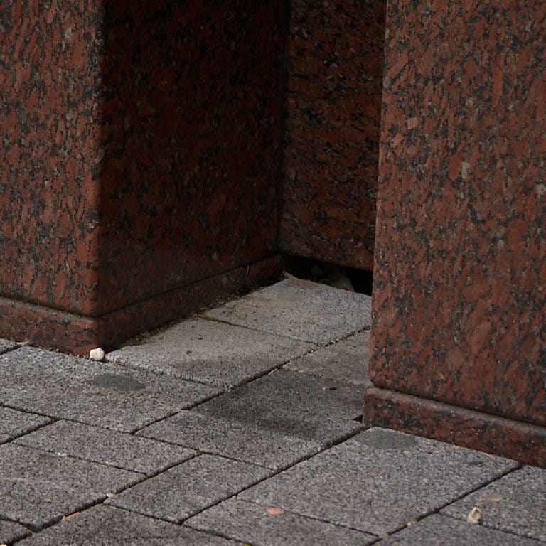 Einstein-Denkmal von Max Bill in Ulm: Die beiden unteren Granit-Blöcke sind fast völlig im Boden vergraben (Foto: SWR)