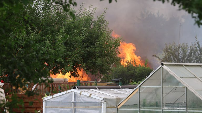 Gewächshäuser in einer Gartensiedlung, dahinter lodern Flammen und man sieht Qualm. Der Brand in einer Gartenanlage am Montag in Neu-Ulm hat hohen Sachschaden zur Folge.