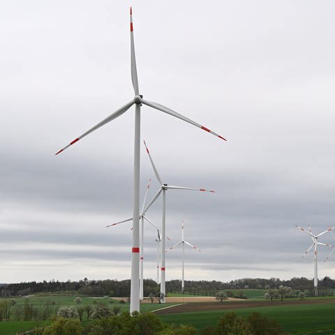 Klimafreundliche Energie im Südwesten (Foto: dpa Bildfunk, picture-alliance / Reportdienste, picture alliance/dpa | Bernd Weißbrod)
