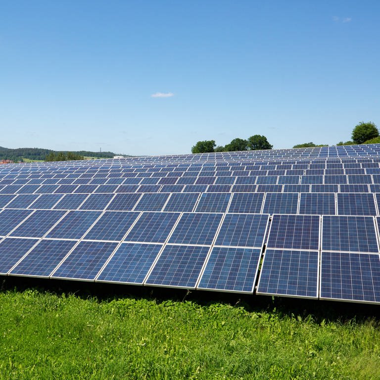 Großer Solarpark: eine Freilandanlage mit vielen Photovoltaikmodulen in der Natur, auf einer Wiese. 