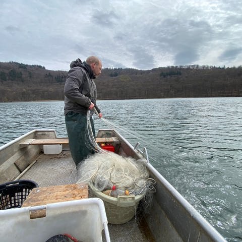 Ansgar Hehenkamp, Fischereipächter des Laacher Sees steht in seinem Boot auf dem See.  (Foto: SWR)