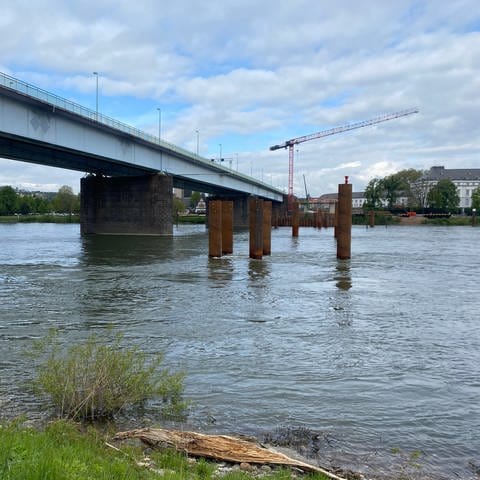 Für den Neubau der Pfaffendorfer Brücke in Koblenz laufen die Arbeiten - erste Stahlrohre sind im Rhein platziert. (Foto: SWR)